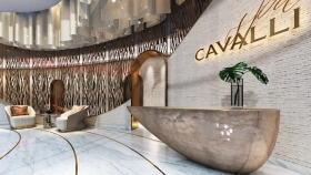 Фотографии Лобби Cavalli Couture
