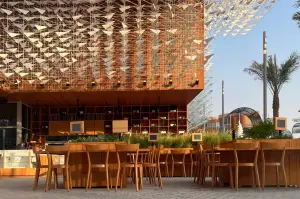 Dubai Expo. Aesthetics and emotions.