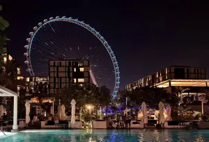 Why the world's biggest wheel stopped.