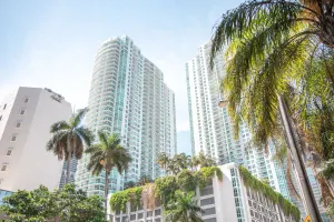 Wiseway ventures into Miami: Whitewill conquers America