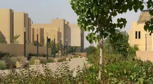 Dubai's ambitious neighbor. Oleg Torbosov's business trip to Riyadh