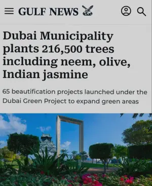More than 500 trees a day are planted in Dubai. You won't recognize the city in a couple of years