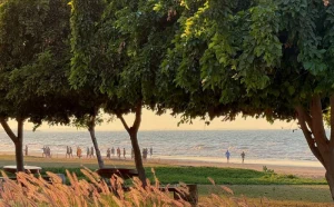 Новый офис в Маскате – с какими сложностями мы столкнулись при ремонте